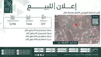 أرض للبيع في شارع الشنان, حي الازدهار, مدينة الشنان, منطقة حائل