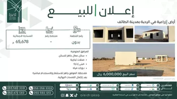 أرض للبيع في شارع الطائف, حي الحامدية, مدينة امارة منطقة مكة المكرمة - الطائف, منطقة مكة المكرمة