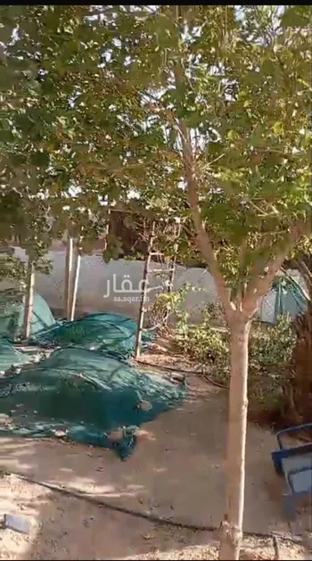 استراحة للبيع في حي العلا, مدينة الرياض, منطقة الرياض صورة 5