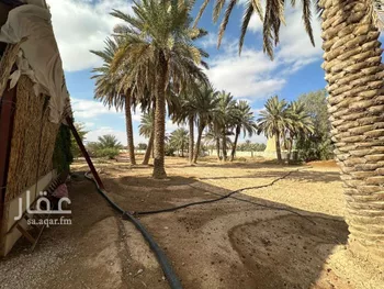 مزرعة للبيع في شارع هشام بن العاص ، حي النخيل ، حريملاء ، حريملاء صورة 3