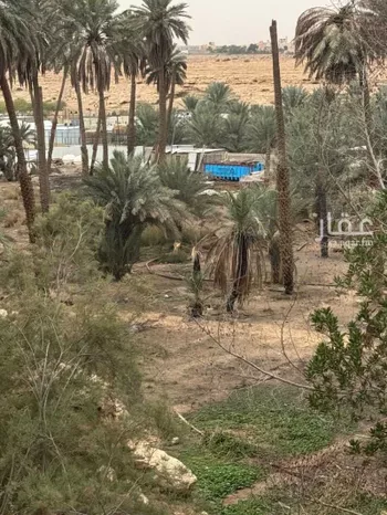 مزرعة للبيع في شارع صبيح بن بكر, حي البديعة, مدينة الرياض, منطقة الرياض