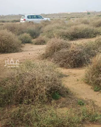 أرض للبيع في السروريه صورة 2