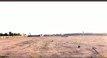 استراحة للبيع في شارع البكيريه 860, مدينة البكيريه, منطقة القصيم صورة 3