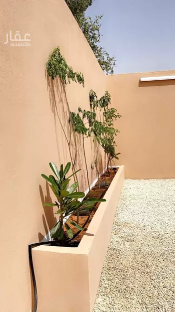 استراحة للإيجار في شارع العماريه 313, حي مزارع وادى العماريه, مدينة مزارع وادى العماريه, منطقة الرياض صورة 4