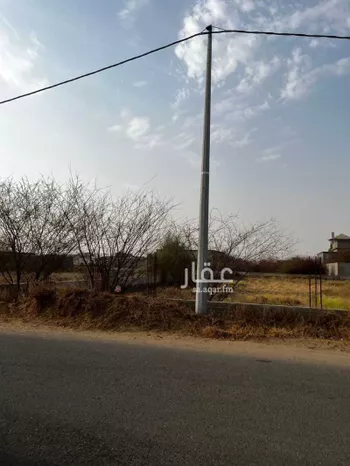أرض للبيع في شارع السر 621 ، حي قرية السر ، زبارة رشيد ، ابو عريش صورة 5