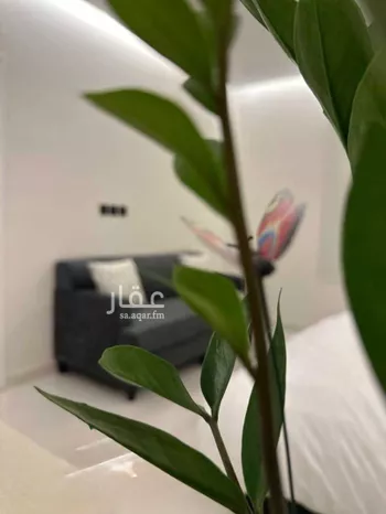 استديو مفروش للحجز في شارع جمال ابن عبدالله شيخ, حي الواحة, مدينة جدة, منطقة مكة المكرمة صورة 5
