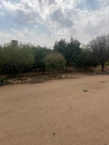 مزرعة للبيع في مدينة عيون الجواء, منطقة القصيم صورة 4