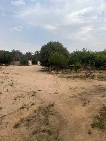 مزرعة للبيع في مدينة عيون الجواء, منطقة القصيم صورة 2