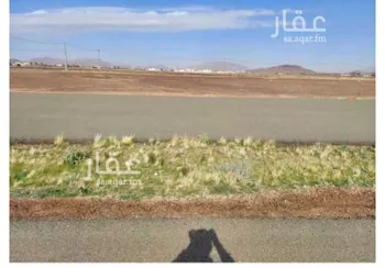أرض للبيع في شارع الروضه 154 ، الروضة ، منطقة حائل صورة 3