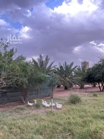 مزرعة للبيع في شارع عمار بن ياسر, حي النايفية, مدينة حفر الباطن, المنطقة الشرقية صورة 4