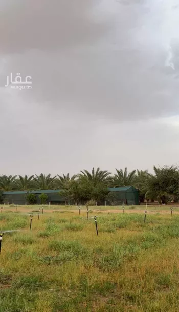 مزرعة للبيع في شارع عمار بن ياسر, حي النايفية, مدينة حفر الباطن, المنطقة الشرقية صورة 2