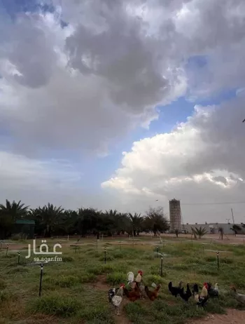 مزرعة للبيع في شارع عمار بن ياسر, حي النايفية, مدينة حفر الباطن, المنطقة الشرقية