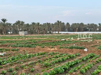 مزرعة للبيع في شارع الدلم 476, مدينة الدلم, منطقة الرياض صورة 2