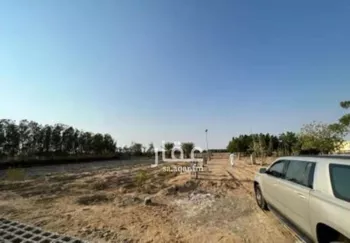 مزرعة للبيع في شارع سمية بنت خياط, حي الصنيدلى, مدينة الصنيدلى, منطقة جازان صورة 2