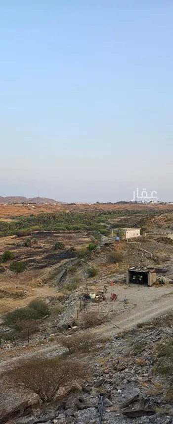 أرض للبيع في شارع الفطيحة, حي وادي رملان, مدينة وادي رملان, منطقة عسير