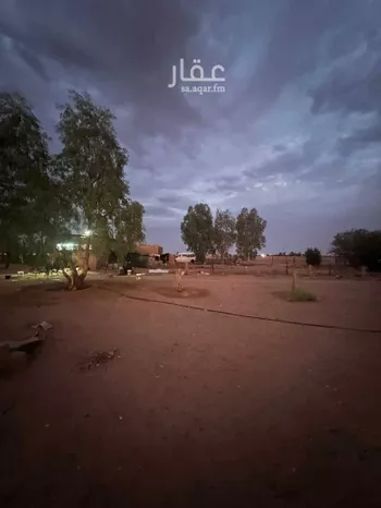 مزرعة للبيع في شارع المنصورية, مدينة المنصورية, منطقة حائل صورة 3