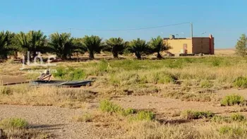 أرض للبيع في خشيبي الحضر ، بريدة صورة 4