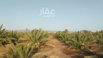 مزرعة للبيع في شارع ضواحي 313, حي المليليح, مدينة المدينه المنوره, منطقة المدينة المنورة صورة 2