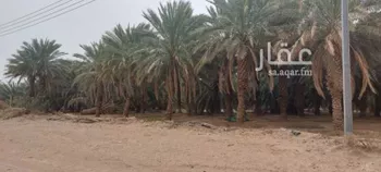 أرض للبيع في شارع طريق تبوك المدينة, حي المندسة, مدينة المدينه المنوره, منطقة المدينة المنورة