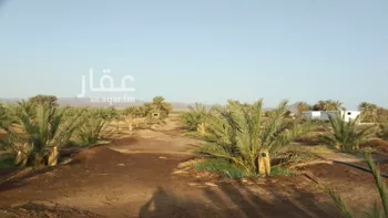 مزرعة للبيع في شارع ضواحي 313, حي المليليح, مدينة المدينه المنوره, منطقة المدينة المنورة