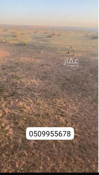 أرض للإيجار في حي مزارع وادي وراط, مدينة مزارع وادي وراط, منطقة الرياض صورة 2