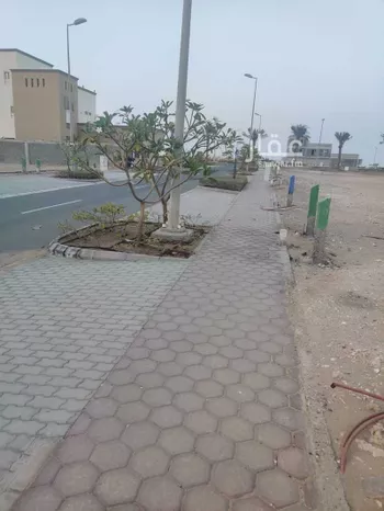 أرض للبيع في شارع العنبر ، حي التالة ، مدينة الملك عبدالله الاقتصادية ، رابغ
