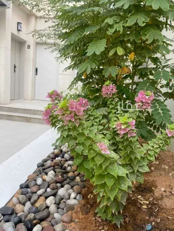شقة للإيجار في شارع الجنيد المري, حي السليمانية, مدينة الرياض, منطقة الرياض
