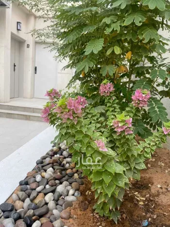 شقة للإيجار في شارع عبدالرحمن بن علي ال الشيخ ، حي السليمانية ، الرياض ، منطقة الرياض