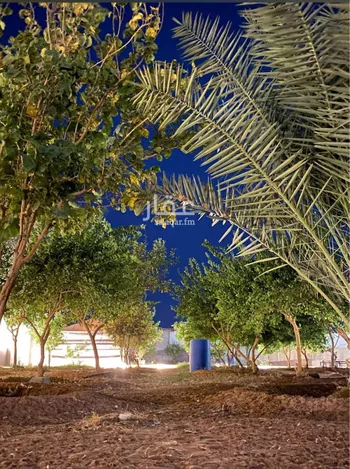 مزرعة للبيع في حي هجره الذيبيه وخضراء, مدينة هجره الذيبيه وخضراء, منطقة الرياض صورة 5