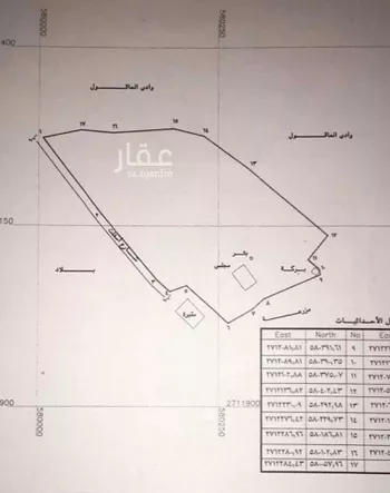 مزرعة للبيع في شارع وادي البطان 273, حي وادي البطان, مدينة المدينه المنوره, منطقة المدينة المنورة صورة 2