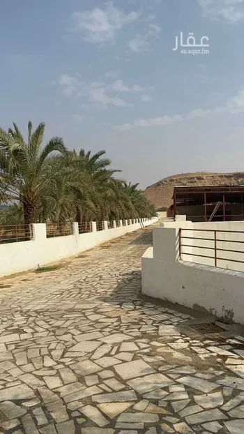 مزرعة للبيع في مدينة حريملاء, منطقة الرياض صورة 3
