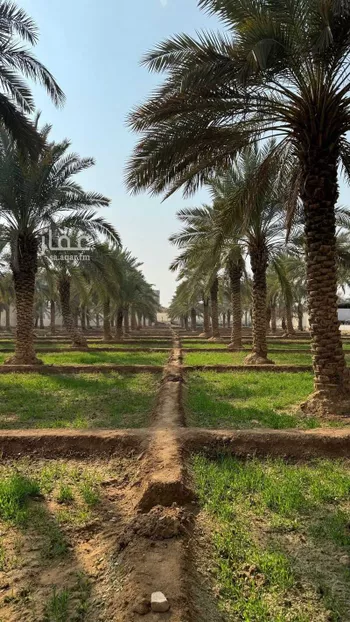 مزرعة للبيع في مدينة حريملاء, منطقة الرياض صورة 4