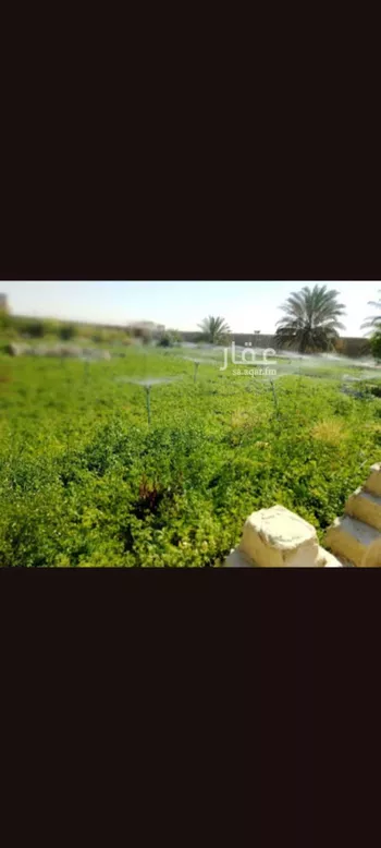استراحة للإيجار في شارع 3049257, حي روافة, مدينة ضرما, منطقة الرياض صورة 2