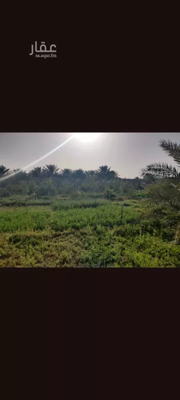 استراحة للإيجار في شارع روافة 5 ، ضرما ، ضرما صورة 4