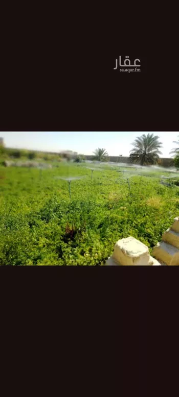 استراحة للإيجار في شارع روافة 5 ، ضرما ، ضرما صورة 2