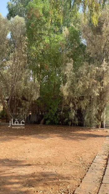 مزرعة للبيع في ضيدة ، الاسياح صورة 4