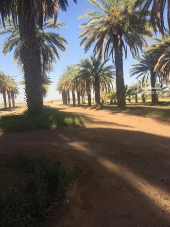 مزرعة للبيع في شارع القفيعى 198, مدينة القفيعى, منطقة حائل صورة 3