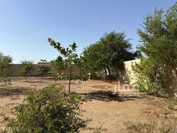 أرض للإيجار في شارع 172706, حي الفنار, مدينة جدة, منطقة مكة المكرمة صورة 2