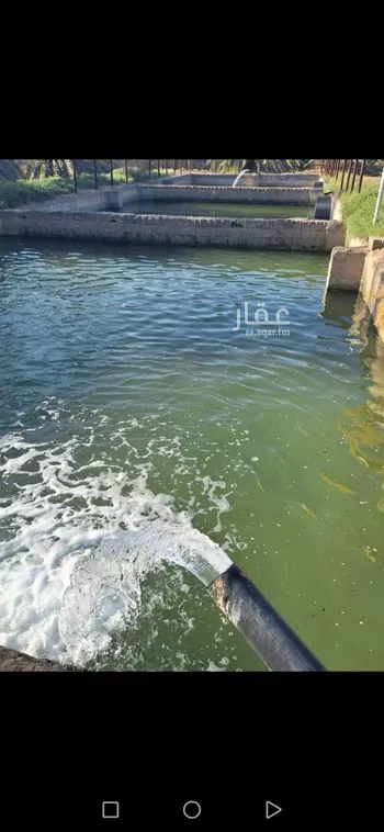 مزرعة للبيع في شارع المليليح 94, حي المليليح, مدينة المدينه المنوره, منطقة المدينة المنورة صورة 3