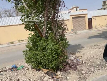 استراحة للبيع في شارع القرين ، حي جنوب منسوبي التعليم ، الهفوف ، الاحساء صورة 5