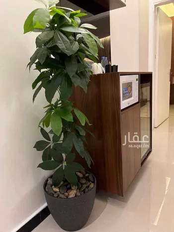 شقة مفروشة للحجز في شارع الامير عبدالله بن سعود بن عبدالله صنيتان ال سعود, حي الياسمين, الرياض صورة 4