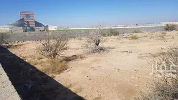 أرض للإيجار في شارع 5251087, حي الحجيرة, مدينة امارة منطقة مكة المكرمة - الطائف, منطقة مكة المكرمة صورة 2