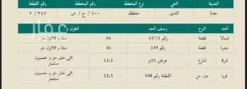 أرض للبيع في ذهبان ، جدة صورة 4