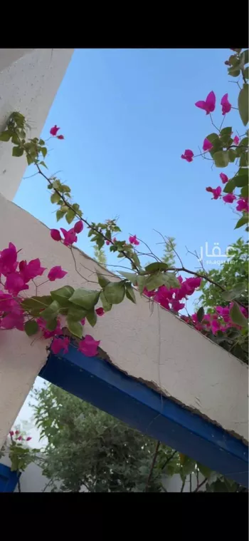 استراحة للإيجار في شارع 3775964, حي العفجه, مدينة الخرج, منطقة الرياض صورة 2