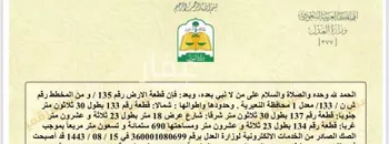 أرض للبيع في شارع شارع لبرقوق, حي حي الروضة, مدينة النعيريه, المنطقة الشرقية