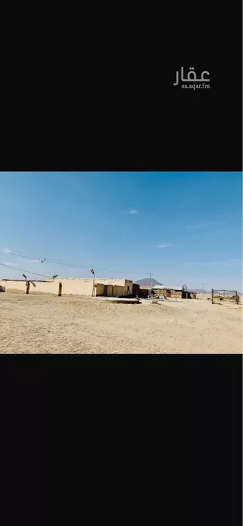 مزرعة للبيع في شارع العاقر, حي العاقر, مدينة العاقر, منطقة القصيم صورة 5