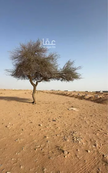 أرض للبيع في مدينة الرياض, منطقة الرياض صورة 2