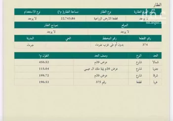 أرض للبيع في شارع غرب ضرما, حي مزارع العلاوه وماحولها, مدينة مزارع العلاوه وماحولها, منطقة الرياض