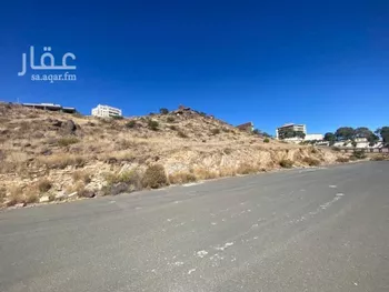 أرض للبيع في شارع العام, حي الورود, مدينة ابها, منطقة عسير صورة 3
