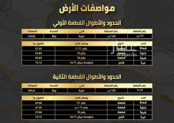 أرض للبيع في شارع عبد الرحمن الدمياطي, حي طيبة, مدينة جدة, منطقة مكة المكرمة صورة 4